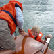 Segeln am Schliersee - Junioren an Bord
